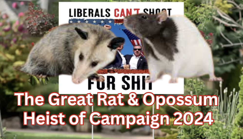 THE GREAT RAT & OPOSSUM HEIST OF CAMPAIGN 2024